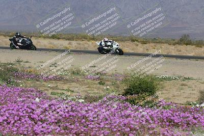 media/Feb-04-2023-SoCal Trackdays (Sat) [[8a776bf2c3]]/Turn 15 Inside Blooming (1050am)/